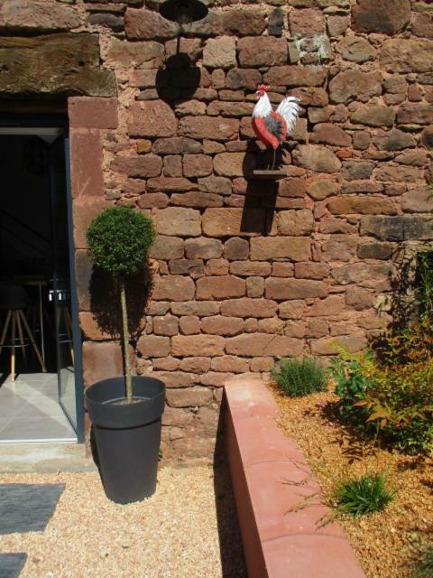 فيلا La Ferme Du Duzou Saint-Cyprien-sur-Dourdou المظهر الخارجي الصورة
